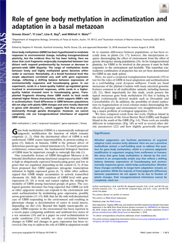 Role of Gene Body Methylation in Acclimatization and Adaptation in a Basal Metazoan