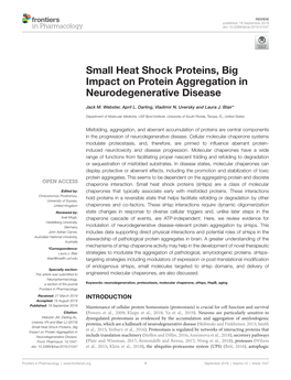 Small Heat Shock Proteins, Big Impact on Protein Aggregation in Neurodegenerative Disease
