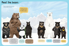 Meet the Bears