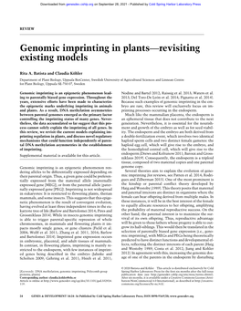 Genomic Imprinting in Plants—Revisiting Existing Models