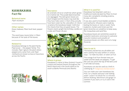 KAWAKAWA Kawakawa Has Long Been Used As a an Aromatic Shrub Or Small Tree Which Grows Traditional Medicinal Plant by Māori to Treat Fact File to 6 Metres Tall