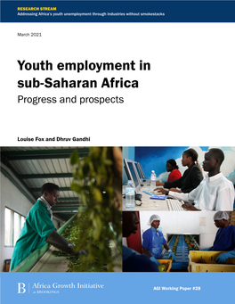 Youth Employment in Sub-Saharan Africa Progress and Prospects