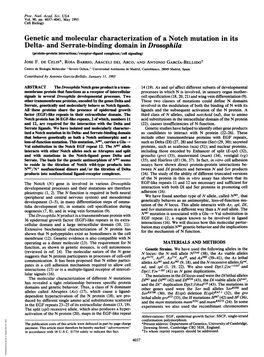 Genetic and Molecular Characterization of a Notch