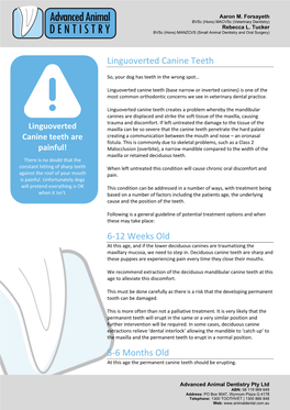 Linguoverted Canine Teeth 6-12 Weeks Old 5-6 Months