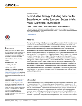 Reproductive Biology Including Evidence for Superfetation in the European Badger Meles Meles (Carnivora: Mustelidae)