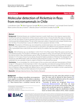 Molecular Detection of Rickettsia in Fleas from Micromammals in Chile