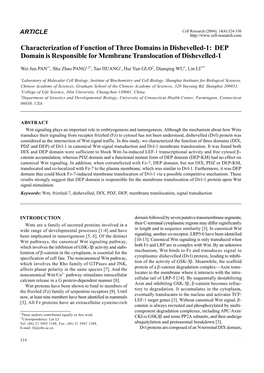 DEP Domain Is Responsible for Membrane Translocation of Dishevelled-1