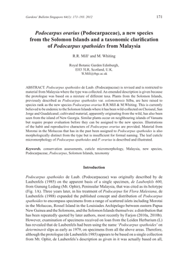 Podocarpus Orarius (Podocarpaceae), a New Species from the Solomon Islands and a Taxonomic Clarification of Podocarpus Spathoides from Malaysia