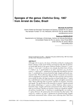 Sponges of the Genus Clathrina Gray, 1867 from Arraial Do Cabo, Brazil