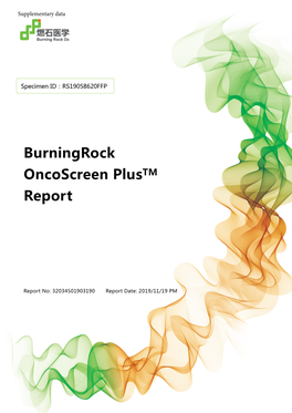 Burningrock Oncoscreen Plustm Report