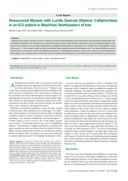 Nosocomial Myiasis with Lucilia Sericata (Diptera: Calliphoridae) in an ICU Patient in Mashhad, Northeastern of Iran