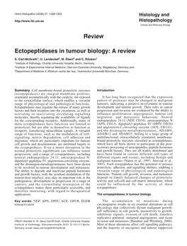 Review Ectopeptidases in Tumour Biology