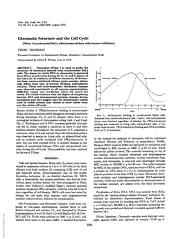 Chromatin Structure and the Cell Cycle