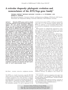 Phylogenic Evolution and Nomenclature of the RTN/Nogo Gene Family1