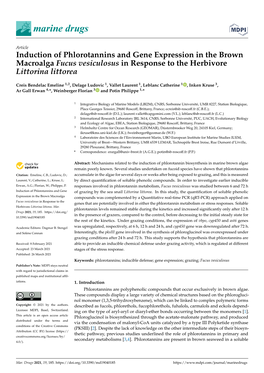 Induction of Phlorotannins and Gene Expression in the Brown Macroalga Fucus Vesiculosus in Response to the Herbivore Littorina Littorea