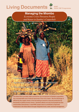 Living Documents DGIS-TMF Programme Managing the Miombo Economic Crisis Threatens People and Nature in Zambia’S Copperbelt
