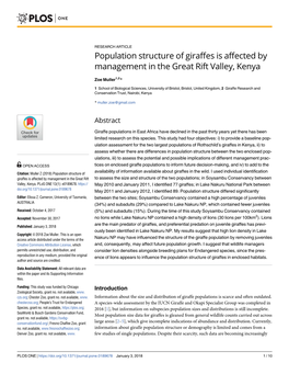 Population Structure of Giraffes Is Affected by Management in the Great Rift Valley, Kenya