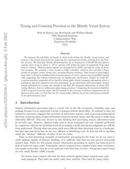 Timing and Counting Precision in the Blowfly Visual System