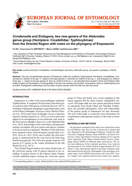 Condensella and Endogena, Two New Genera of the Alebroides Genus