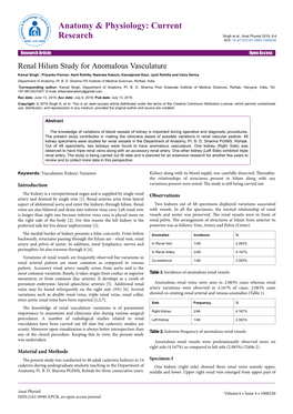 Renal Hilum Study for Anomalous Vasculature