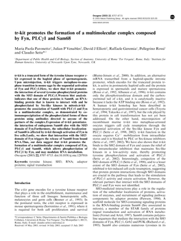 Tr-Kit Promotes the Formation of a Multimolecular Complex Composed by Fyn, Plcc1 and Sam68