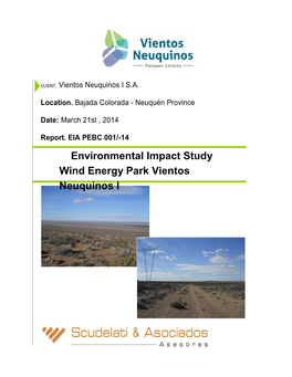 Environmental Impact Study Wind Energy Park Vientos Neuquinos I