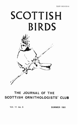 Scottish Birds