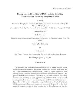 Presupernova Evolution of Differentially Rotating Massive