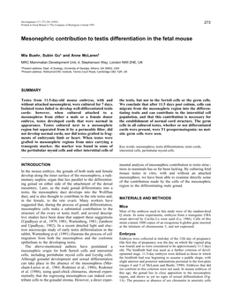 Mesonephric Contribution to Testis Differentiation in the Fetal Mouse