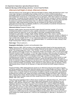 Alternaria Leaf Blight of Wheat -Alternaria Triticina Alternaria Triticina Is the Causal Agent of Alternaria Leaf Blight of Wheat, Initially Described from India