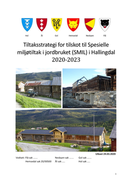 Tiltaksstrategien for SMIL- Midlar I Hallingdal 2020- 2023