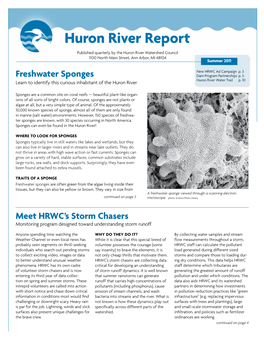 Huron River Report – Summer 2011