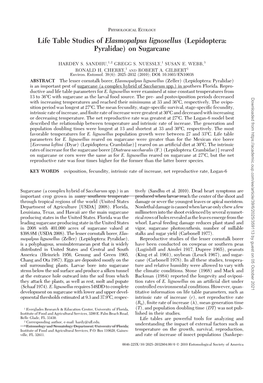 Life Table Studies of Elasmopalpus Lignosellus (Lepidoptera: Pyralidae) on Sugarcane