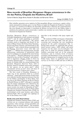 New Records of Brazilian Merganser Mergus Octosetaceus in the Rio Das Pedras, Chapada Dos Veadeiros, Brazil Carlos A
