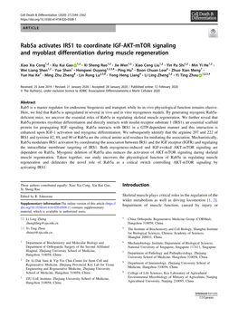 Rab5a Activates IRS1 to Coordinate IGF-AKT-Mtor Signaling and Myoblast Differentiation During Muscle Regeneration