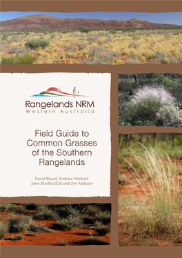 Field Guide to Common Grasses of the Southern Rangelands