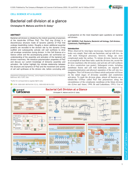 Bacterial Cell Division at a Glance Christopher R