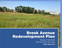 Brook Avenue Redevelopment Plan August 2015