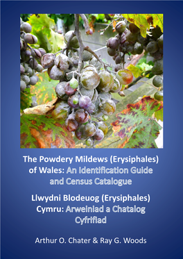 The Powdery Mildews of Wales