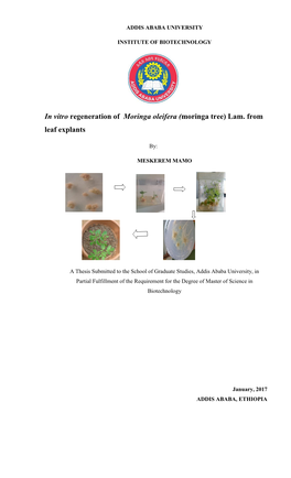 In Vitro Regeneration of Moringa Oleifera (Moringa Tree) Lam. from Leaf Explants