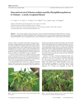 Stem and Root Rot of Telosma Cordata Caused Byphytophthora Palmivora