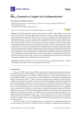 Bkca Channels As Targets for Cardioprotection