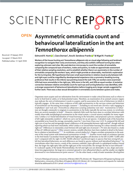 Asymmetric Ommatidia Count and Behavioural Lateralization in the Ant Temnothorax Albipennis Received: 19 January 2018 Edmund R