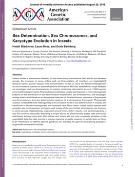 Sex Determination, Sex Chromosomes, and Karyotype Evolution in Insects