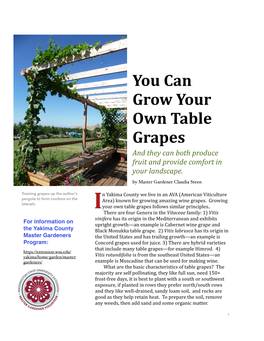 You Can Grow Your Own Table Grapes and They Can Both Produce Fruit and Provide Comfort in Your Landscape