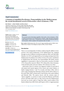 A Bonanza of Angelfish (Perciformes: Pomacanthidae) in the Mediterranean: the Second Documented Record of Holacanthus Ciliaris (Linnaeus, 1758)