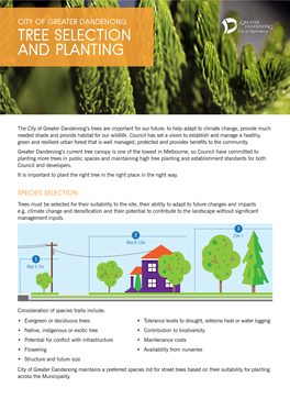 Tree Selection and Planting