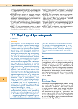 II.1.3 Physiology of Spermatogenesis M