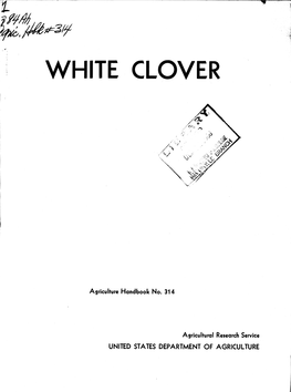 White Clover