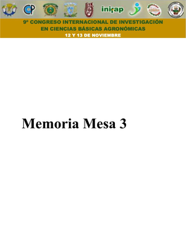 Memoria Mesa 3